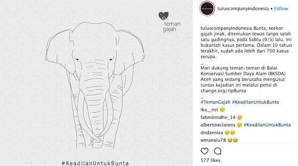 Sayembara! Barang Siapa Mengungkap Pembunuh Gajah Bunta, Maka…