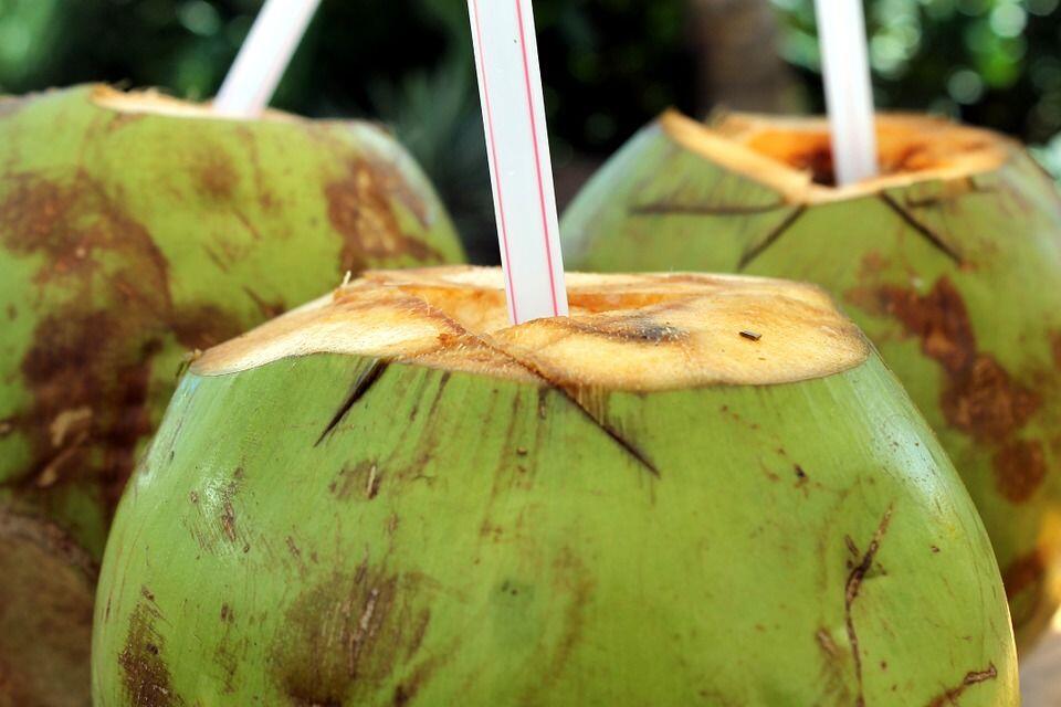 Biar Gak Mabuk Saat Mudik, 5 Bahan Makanan Ini Bisa Kurangi Mual