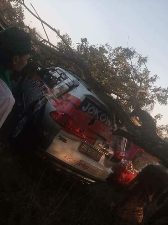 Mungkinkah Pohon Tumbang Ini Radikalis Dan Tidak Pancasilais