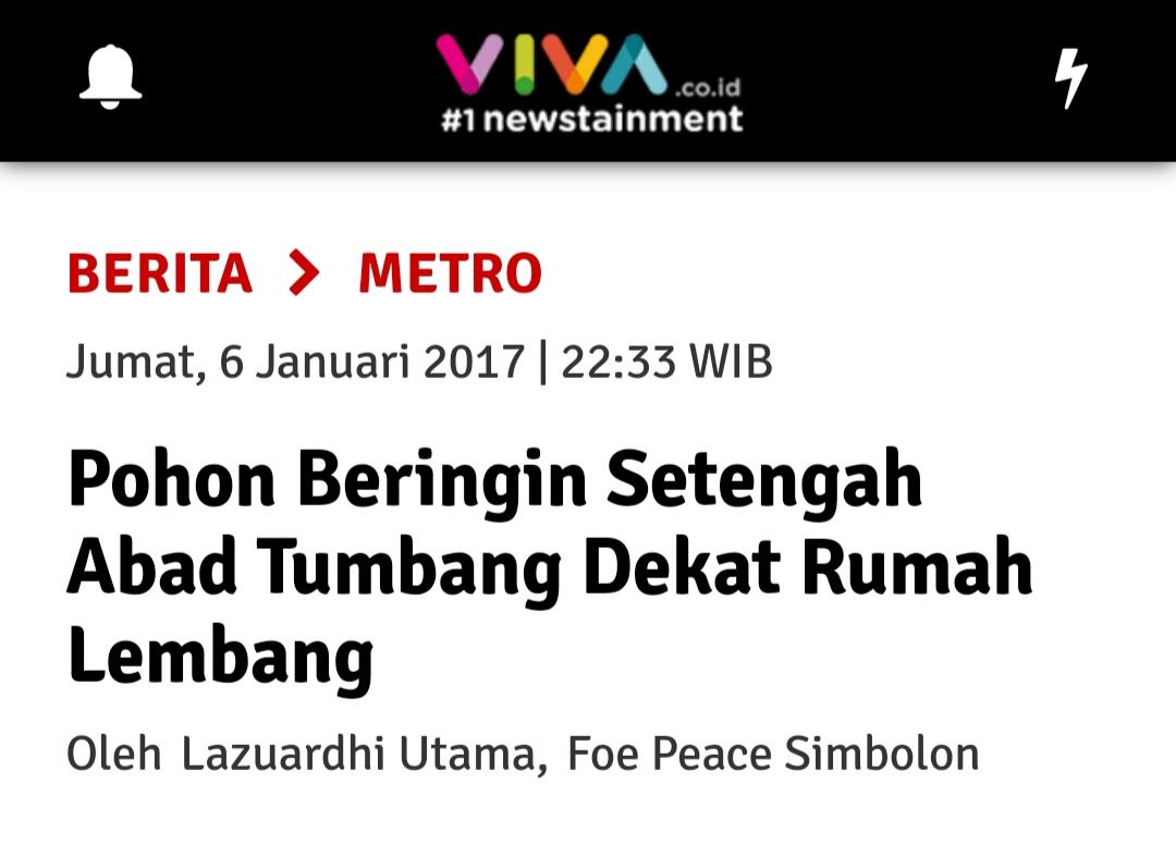 Mungkinkah Pohon Tumbang Ini Radikalis Dan Tidak Pancasilais