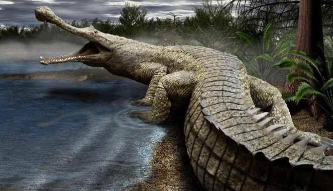 5 Fakta Ngeri Sarcosuchus, Sesepuhnya Buaya 