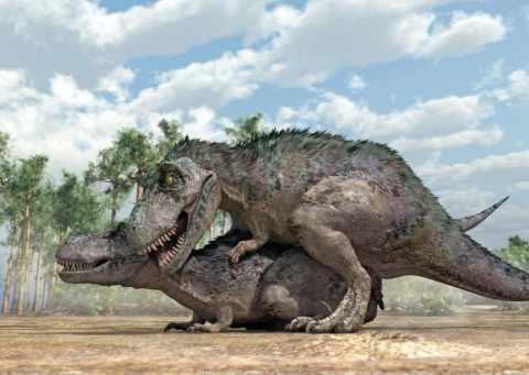 Beginilah Cara Dan Gaya Dinosaurus kimpoi.Jangan Di Bayangkan!