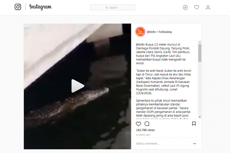 Buaya yang Terlihat di Dermaga Sunda Pondok Dayung Ditembak TNI AL