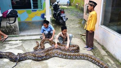 Bobot Syahrini Sampai 200 Kilo, Makan 7 Ekor Ayam Sebulan