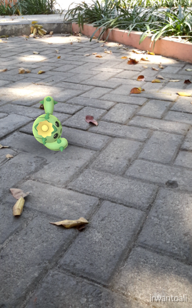 AR Mode, Ambil Foto Lucu Pokemon di Dunia Nyata