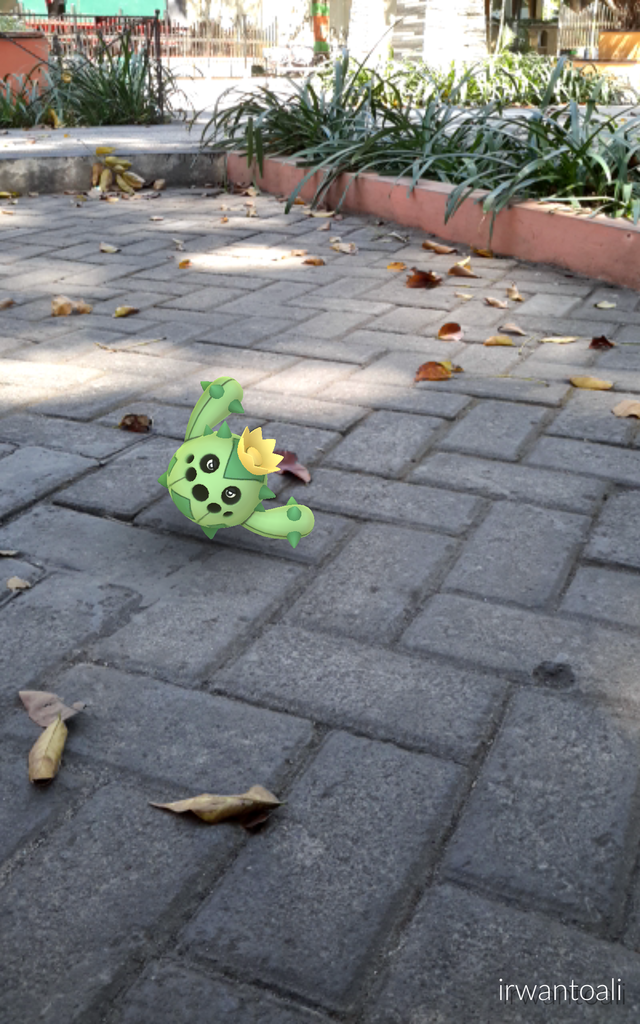 AR Mode, Ambil Foto Lucu Pokemon di Dunia Nyata
