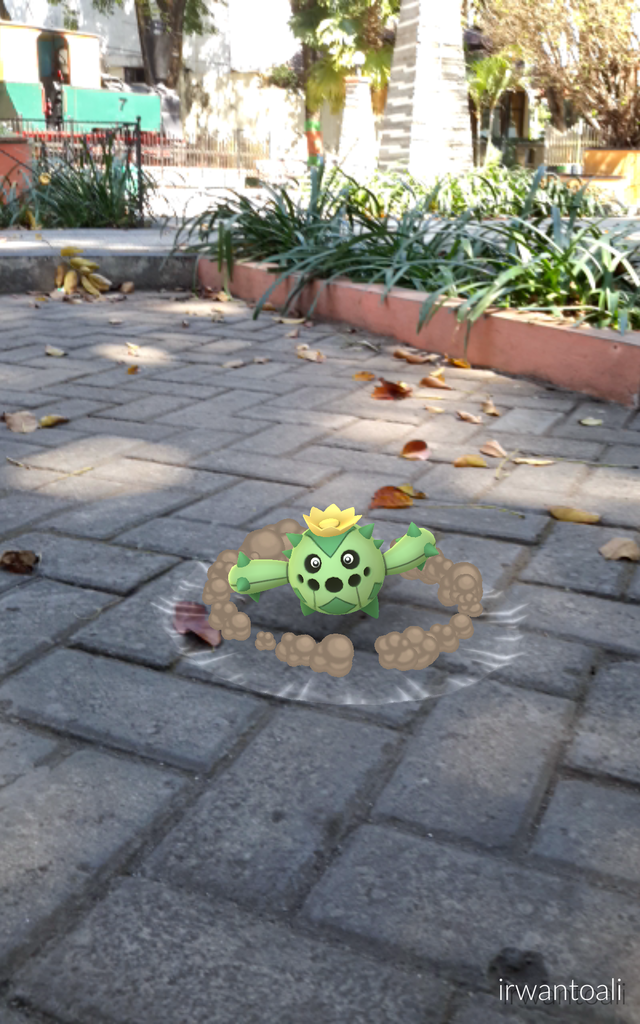 AR Mode, Ambil Foto Lucu Pokemon di Dunia Nyata