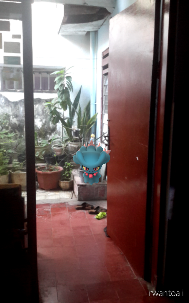 AR Mode, Ambil Foto Lucu Pokemon di Dunia Nyata