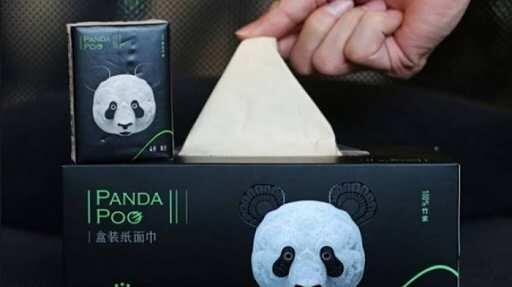 Pabrik di Tiongkok Ubah Kotoran Panda Menjadi Tisu