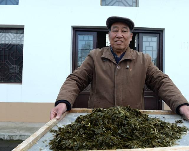 Pabrik di Tiongkok Ubah Kotoran Panda Menjadi Tisu