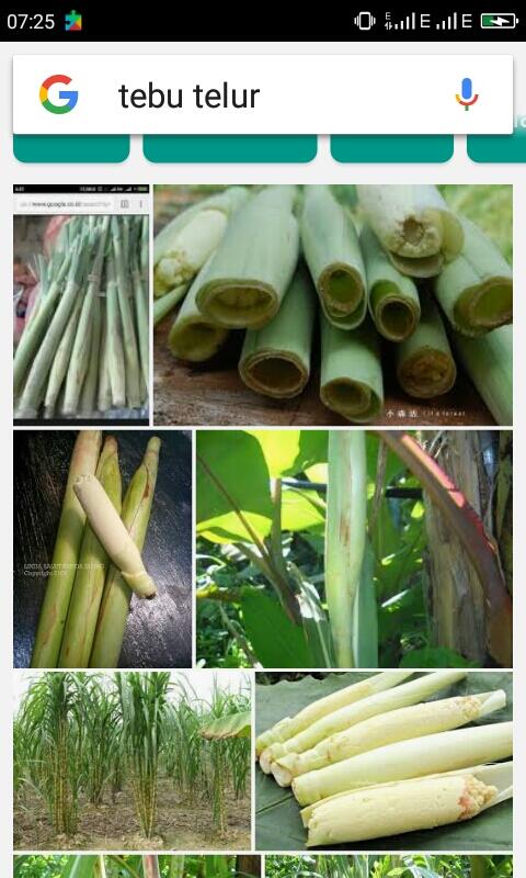 Obat Diabetes Yang Lezat