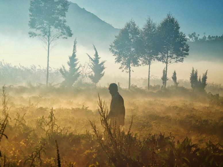 (-3°Celcius) Negeri Atas Awan Selalu Punya Cerita