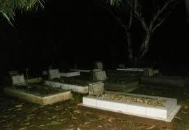 Ane Pernah Koleksi Bunga Kamboja Biar Cepet Kaya (Dijamin Gagal)