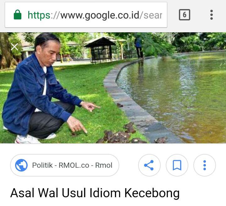 Foto Presiden Jokowi Muncul Saat Cari 'Kecebong' di Google, Kok Bisa?