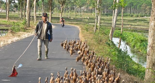 Do'a &amp; Ekspektasi Yang Keliru