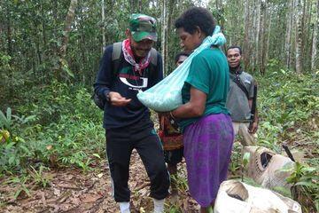 Imunisasi Bayi di Tengah Hutan, Perjuangan Tenaga Kesehatan di Papua

