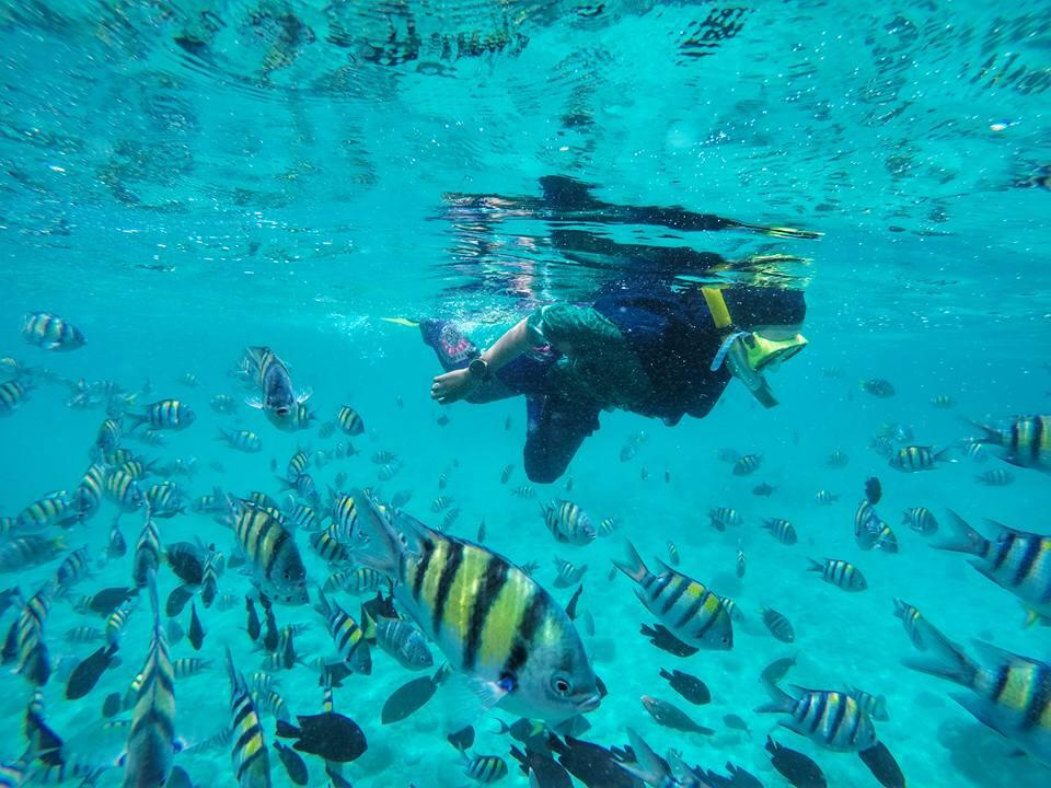 Sosok Novia Barus, Hijaber Traveler Korban Kapal Tenggelam Danau Toba