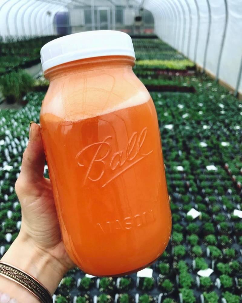 7 Resep Smoothies yang Bermanfaat Buat Melunturkan Racun di Tubuhmu