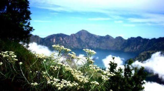 Mendaki Rinjani, Gunung Indah Di Lombok NTB