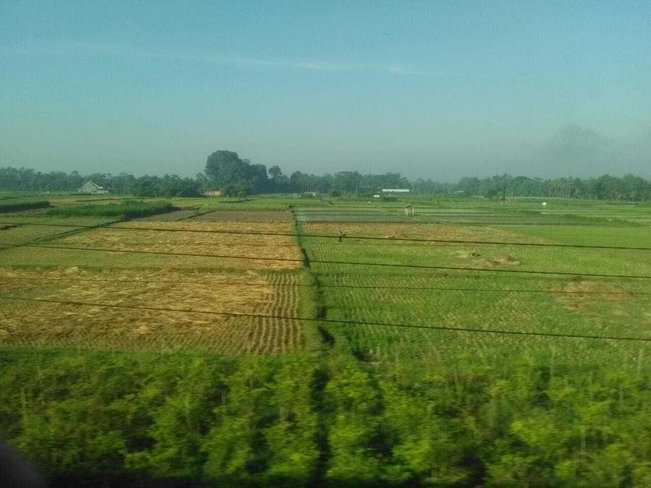 Koleksi Foto Pemandangan Indah, Hanya Bermodalkan Duduk di Kereta