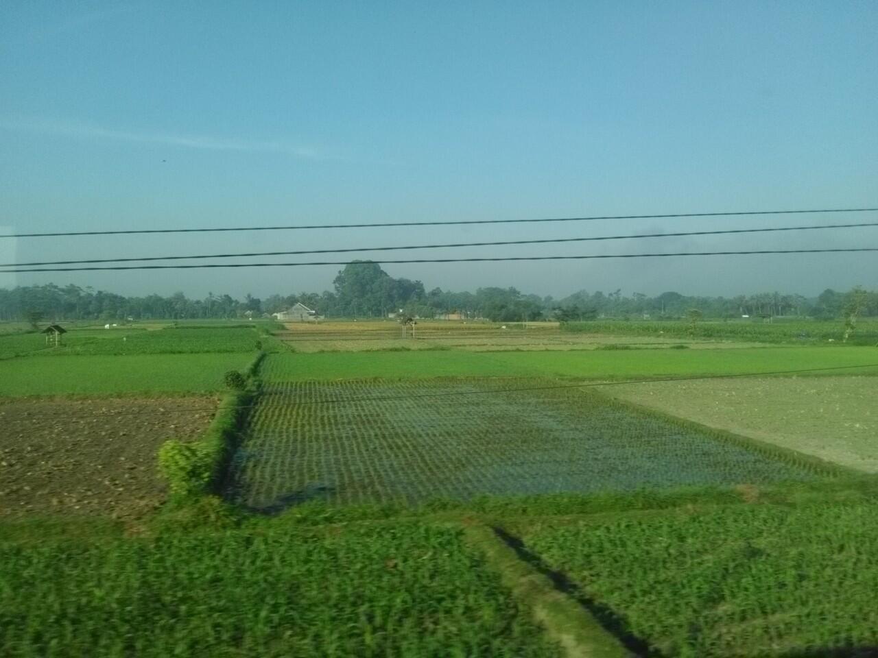 Koleksi Foto Pemandangan Indah, Hanya Bermodalkan Duduk di Kereta