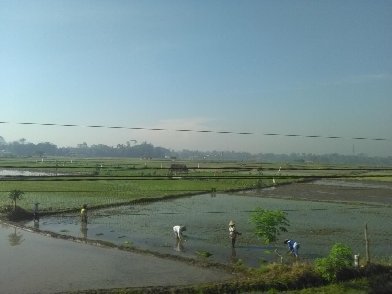 Koleksi Foto Pemandangan Indah, Hanya Bermodalkan Duduk di Kereta