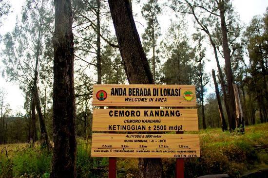 Mendaki Semeru, Gunung Terindah Di Pulau Jawa