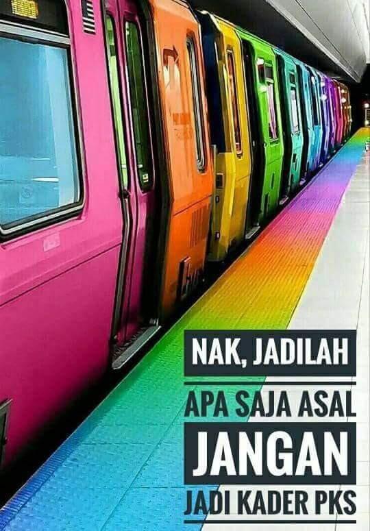 Sohibul: Mereka yang radikal, kalau sudah masuk PKS jadi moderat