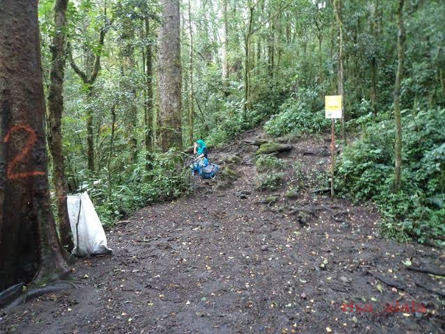 Mendaki Gunung Kerinci, Gunung Api Tertinggi Di Indonesia