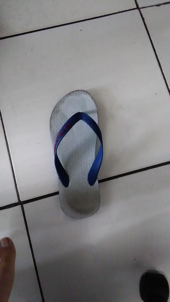 Aku Dan Koleksiku, Sandal Legendaris Pengusir Hama