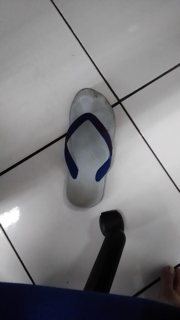 Aku Dan Koleksiku, Sandal Legendaris Pengusir Hama