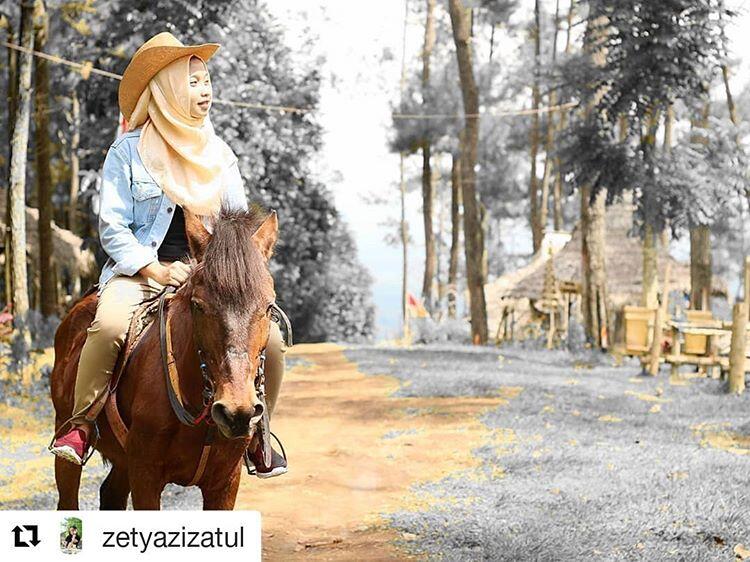 7 DESTINASI YANG WAJIB DIKUNJUNGI DI BUMI BUNG KARNO