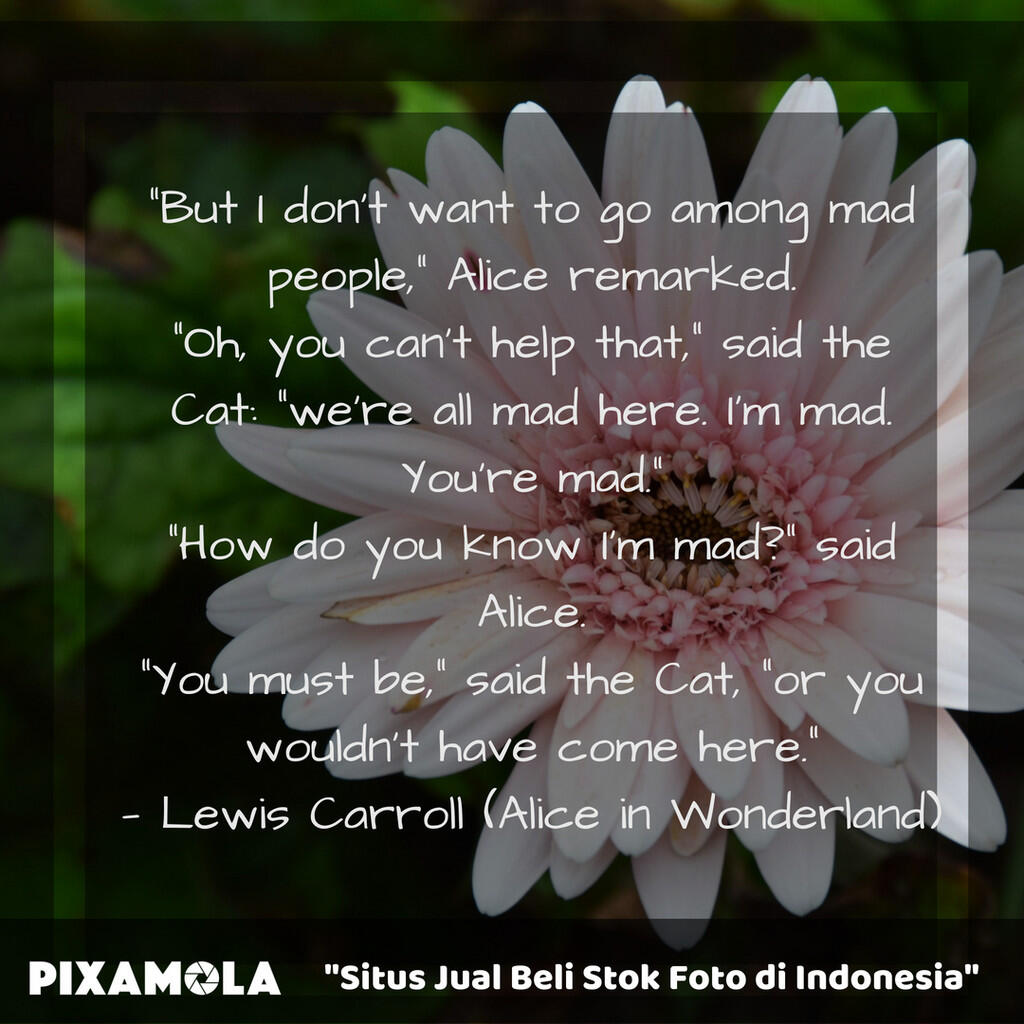 5 Quotes Catchy yang dapat Kamu Temukan di Buku Kesayanganmu