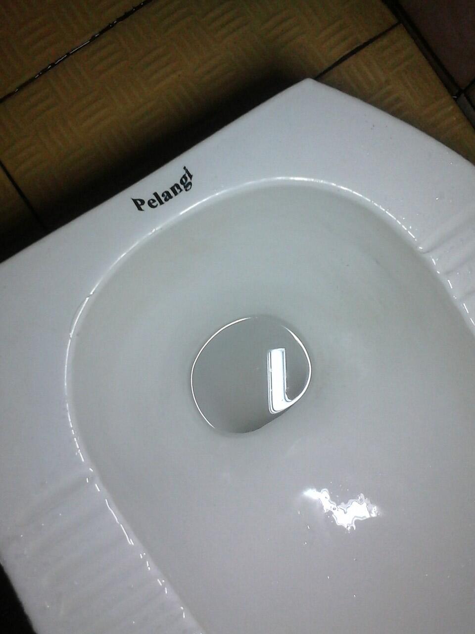 Pelangi Di WC Ku