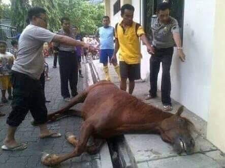 Peta Pilpres Di Jabar Berubah, Lumbung Suara Prabowo Terancam Direbut Jokowi