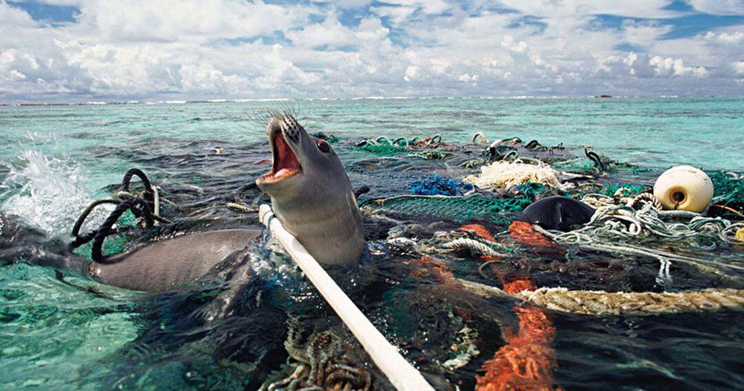 Polusi Plastik Laut Sudah di Tahap Mengerikan & Kitalah Penyebabnya
