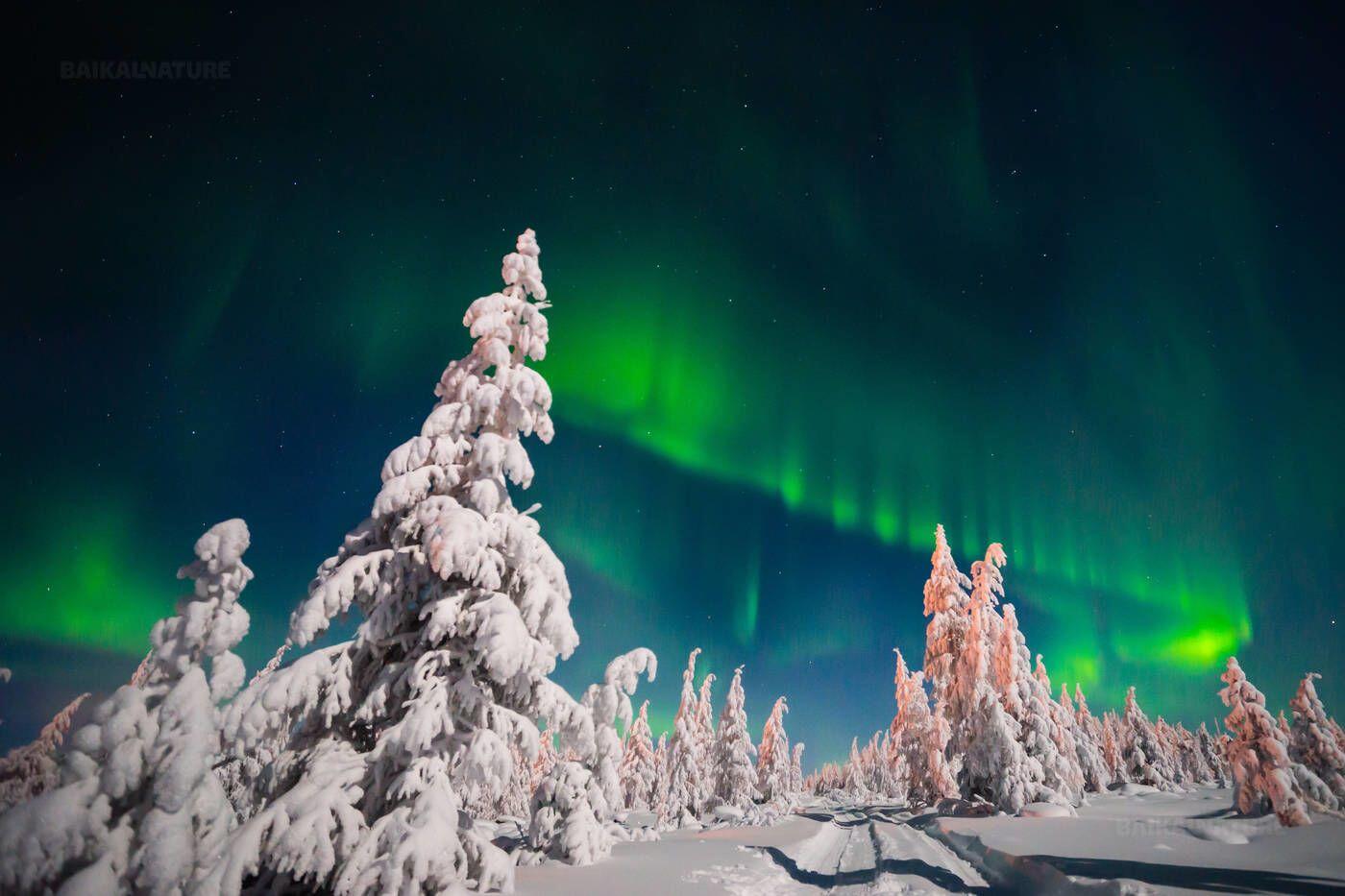 5 Tempat Terbaik untuk Menikmati Aurora di Rusia