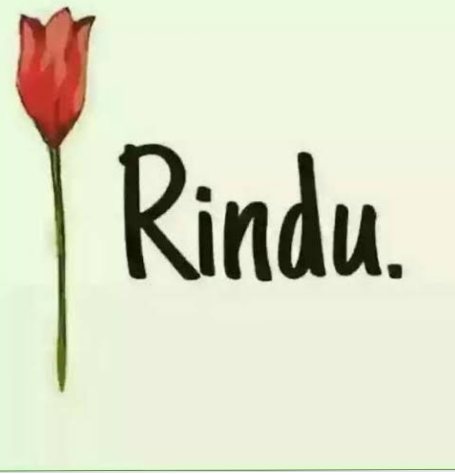 Apapun Tuk Melepas Rindu