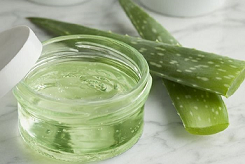 Aloe Gel, Ramuan Seribu Manfaat Untuk Kulit Dan Rambut