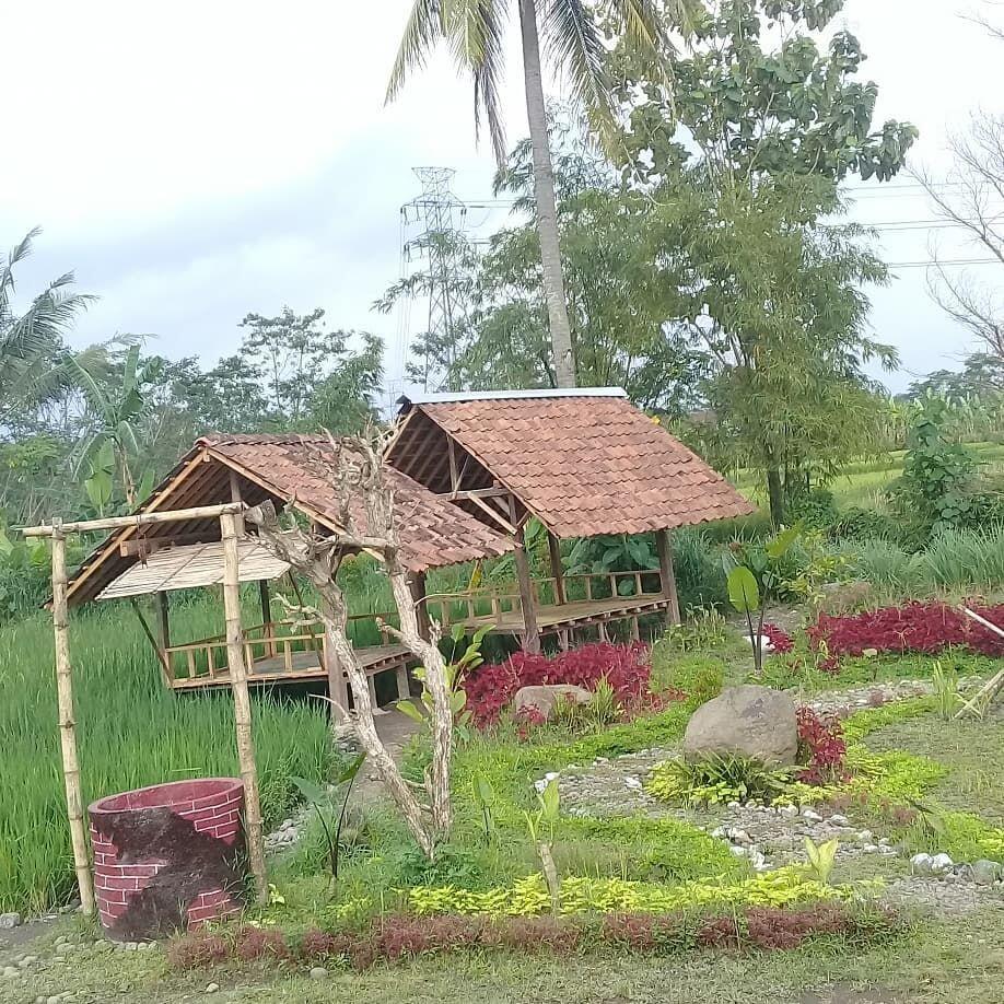 7 Tempat Makan dengan View Sawah Paling Adem di Jogja, Bikin Betah!