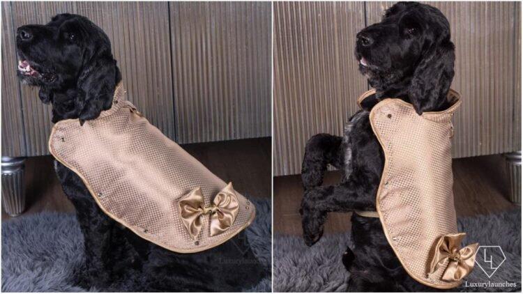 DOGGY ARMOUR! Jaket Berlapis Emas dan Berlian Seharga 1,8M Buat ANJING!