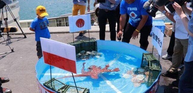 Nasib Tragis Gurita Peramal yang Jitu Ramalkan 3 Laga Timnas Jepang