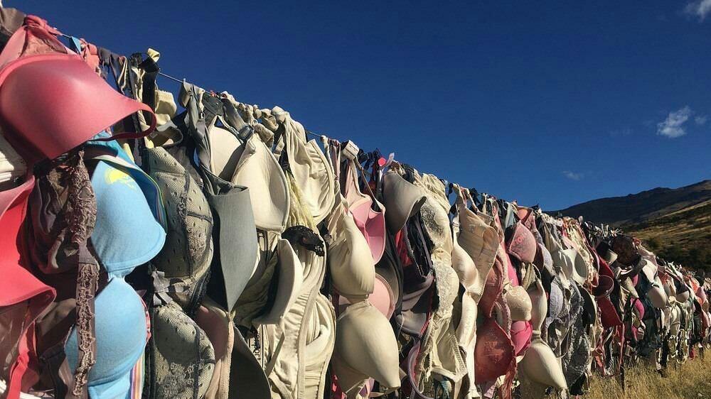 5 Barang Bekas Bisa Jadi Hiasan Pagar Super Unik Bila Di kumpulkan