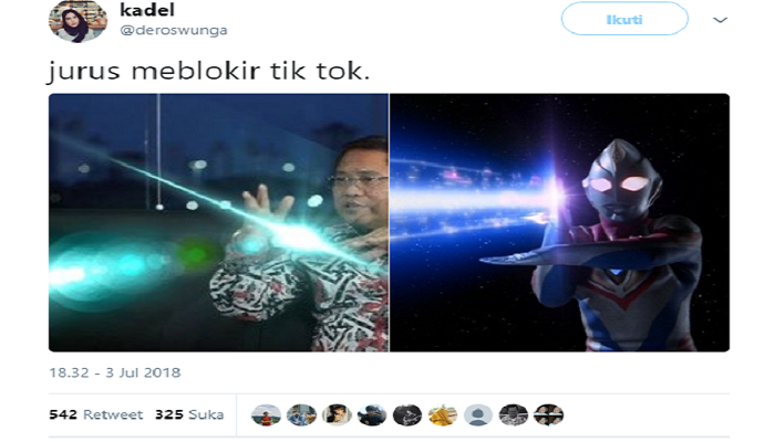 Tik Tok Resmi di Blokir. Begini 'Selebrasi Kocak' Para Netizen yang Bikin Ngakak