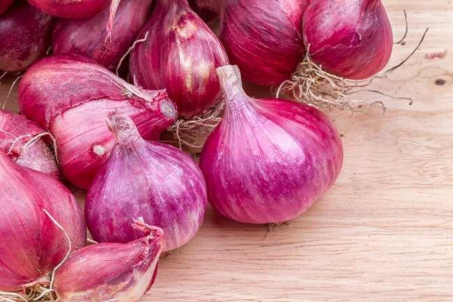 DIABETES BISA DISEMBUHKAN DENGAN MENGKONSUMSI BAWANG MERAH