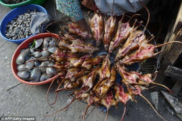 Bagaimana Cara Mendeteksi Bakso atau Mie Ayam Yang Di Konsumsi Itu Daging Tikus