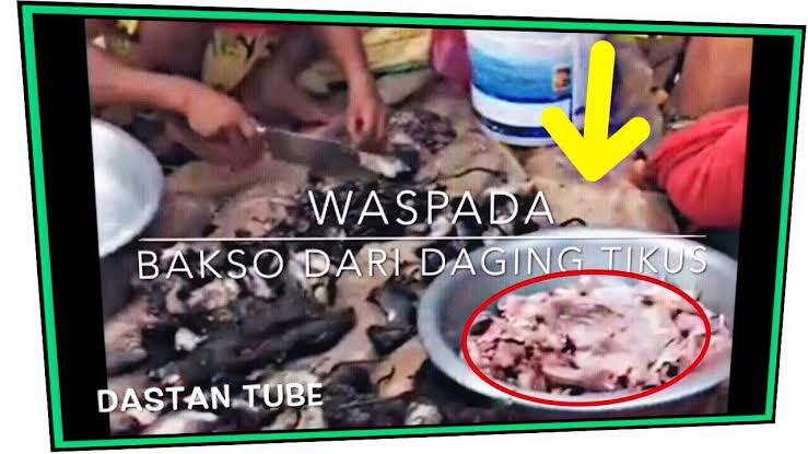 Bagaimana Cara Mendeteksi Bakso atau Mie Ayam Yang Di Konsumsi Itu Daging Tikus