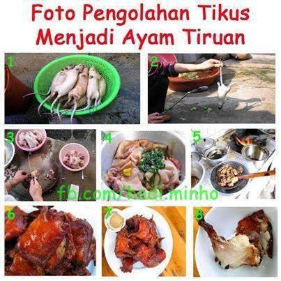 Bagaimana Cara Mendeteksi Bakso atau Mie Ayam Yang Di Konsumsi Itu Daging Tikus