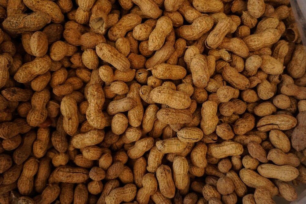 10 Snack Khas dari Berbagai Negara Saat Nonton Piala Dunia, Enak Abis!