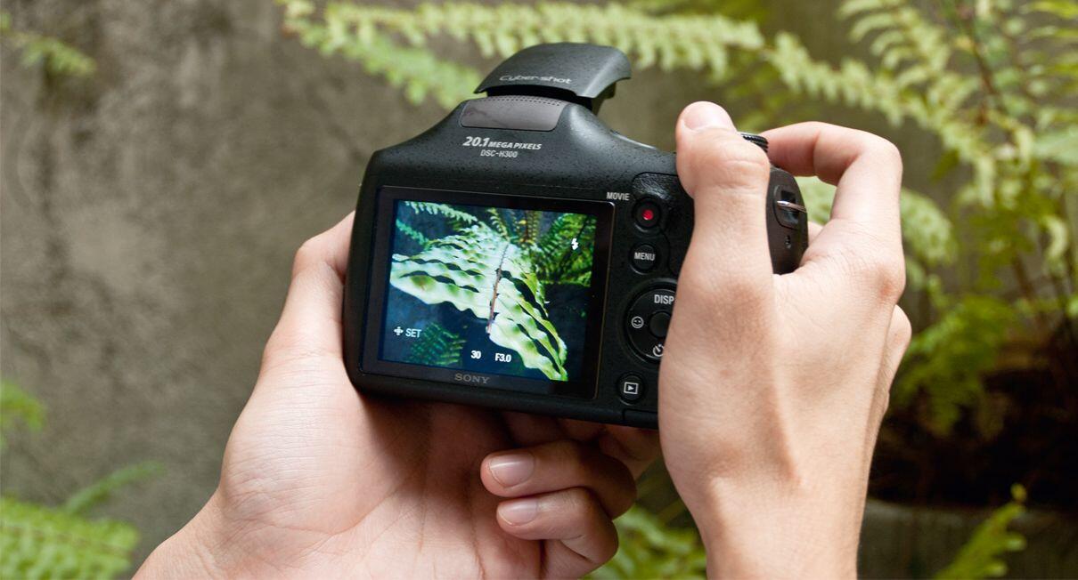 5 Deretan Kamera Sony Keren Untuk Fotografer Pemula, Pilih Mana Nih?